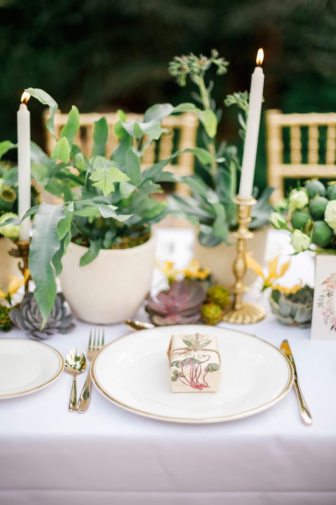 Image by <a href="https://www.fantonphotography.com/" target="_blank">Amy Fanton Photography</a>