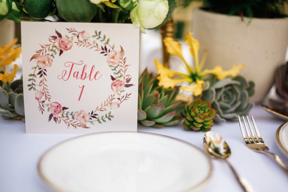 Image by <a href="https://www.fantonphotography.com/" target="_blank">Amy Fanton Photography</a>