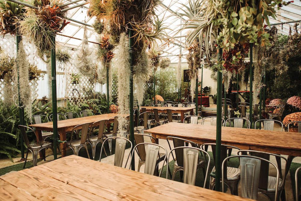 Greenhouse Wedding With Orchids & Dog in Tuxedo Rock My Wedding