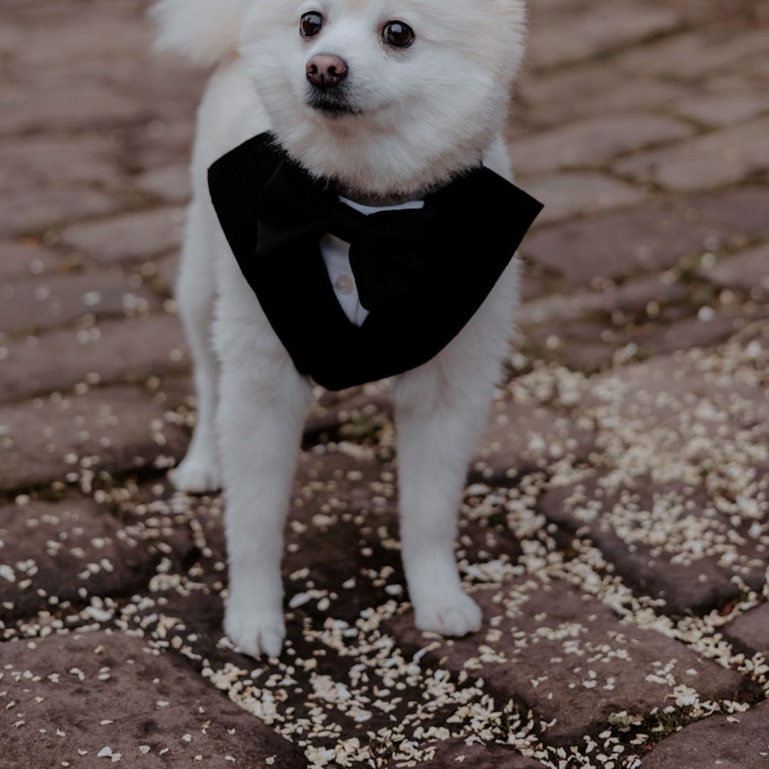 Wyresdale Park Wedding With Sparkly Wedding Dress