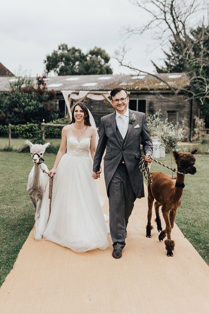 suit for wedding party