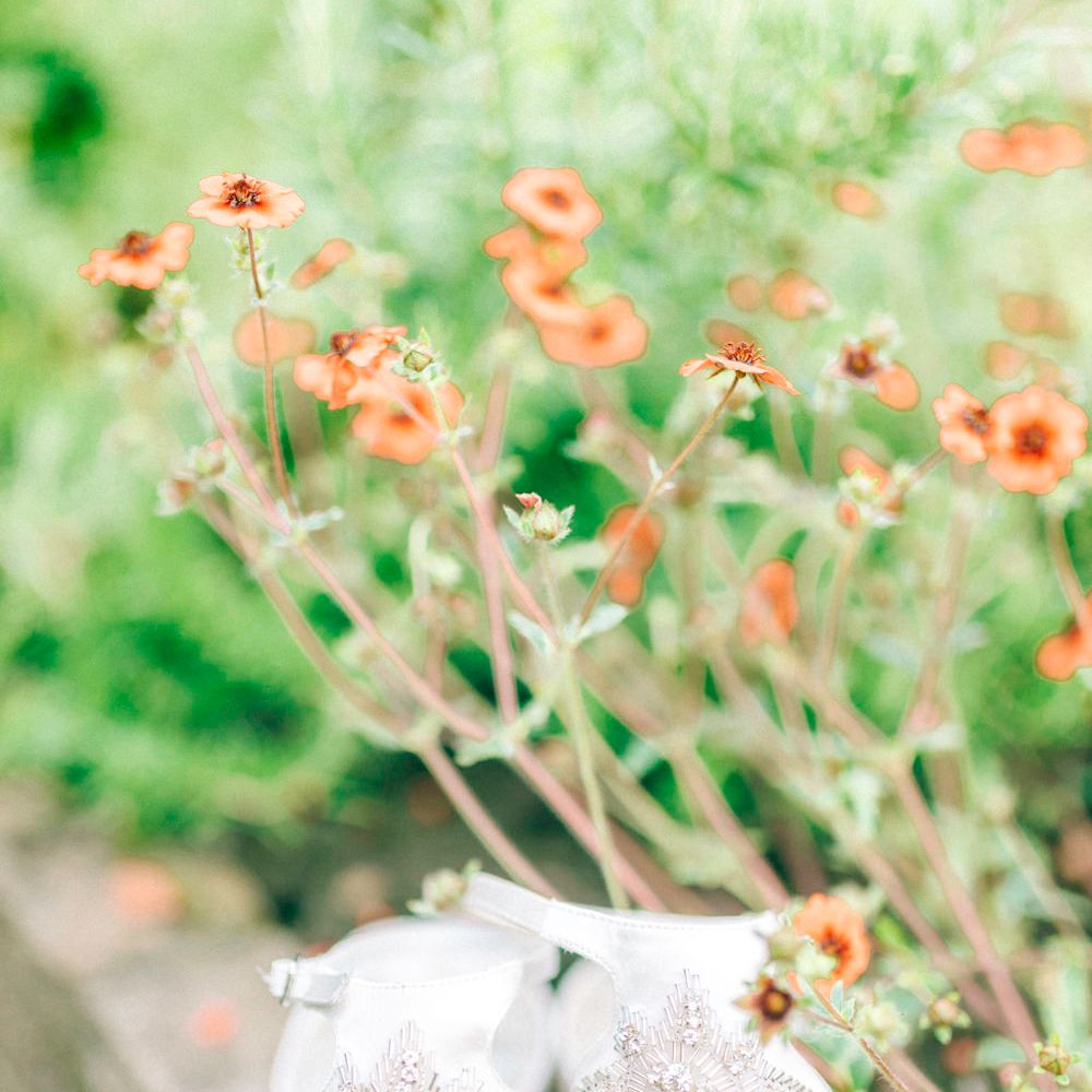 Phase Eight Wedding Dress For A Wedding At Hexham Winter Gardens