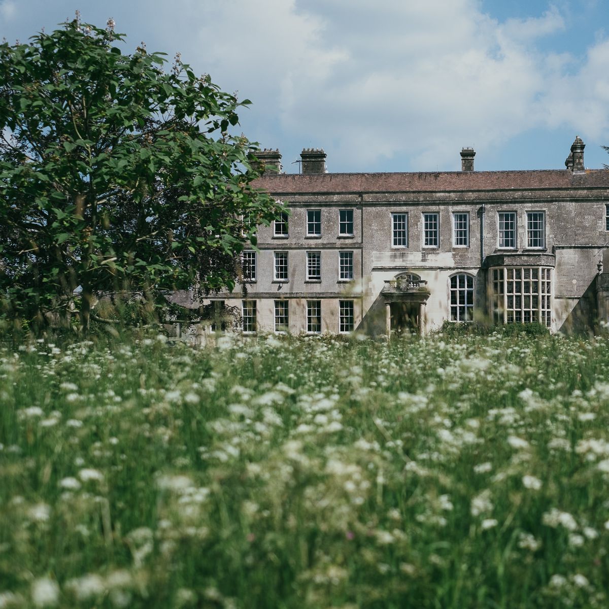 Pronovias Fitted Wedding Dress for a Classic Wedding at Elmore Court