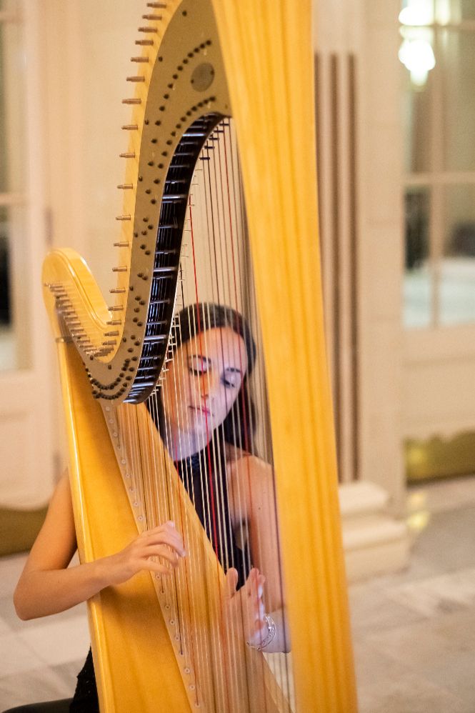 stefania lo castro harpist image crop