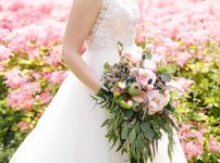 Latest Offers for Robert Adam Photography