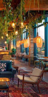 The Nest - our rooftop bar