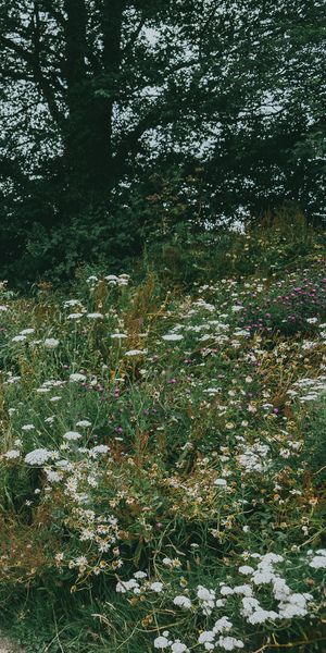 Nancarrow Farm Cornwall Wedding With Bride In Jane Bourvis Gown