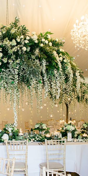 Red Floral Architecture