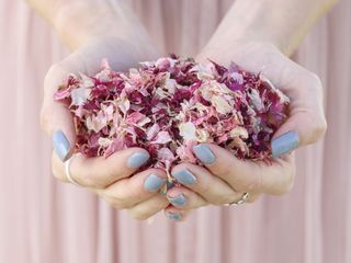 Shropshire Petals Confetti
