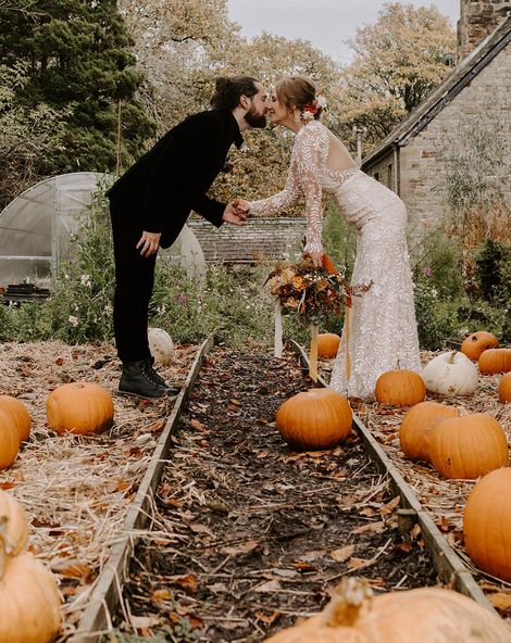 Pumpkin patch wedding at Wyresdale Park