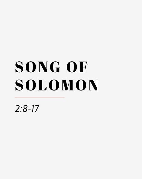 song of solomon 2 8 17
