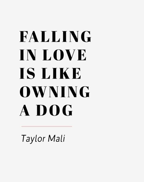 Falling In Love Is Like Owning A Dog Cover 48