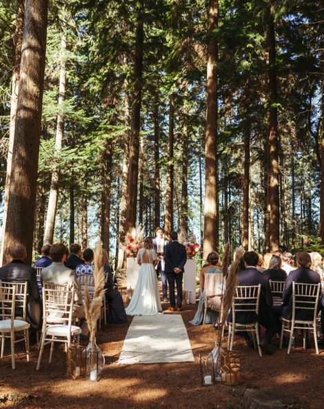 Weddings in the Wood