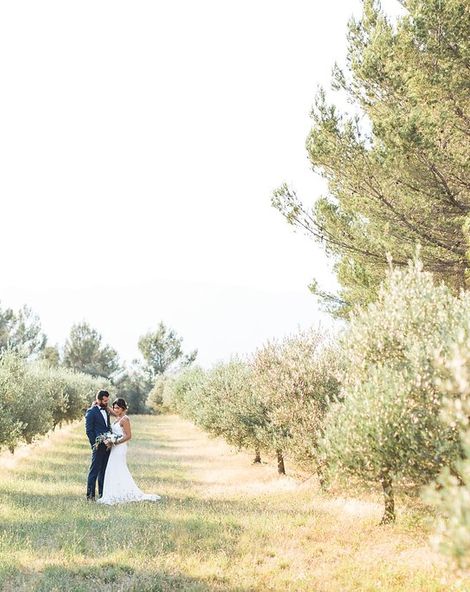 Romance In Provence
