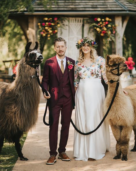 Llama Wedding