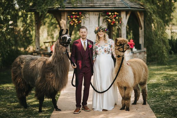 Llama Wedding