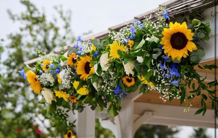 courts of rayleigh florist sunflower  delph arch 