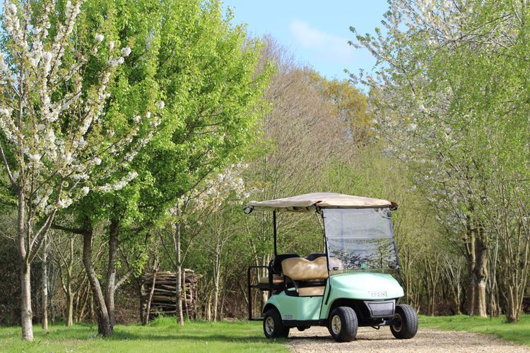 pinkmead estate vineyard pinkmead golf buggy