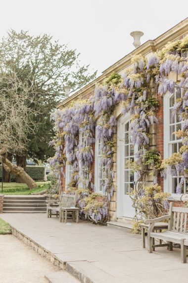the orangery at goldney house wisteria
