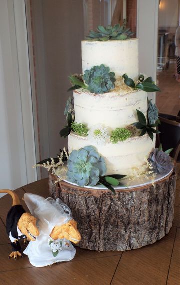 gails cake pantry succulents wedding durassic themed cake