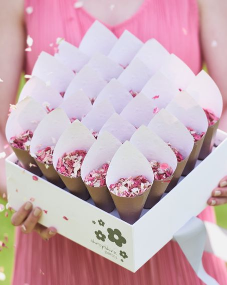 shropshire petals shropshire petals cone box with biodegradable petal confetti