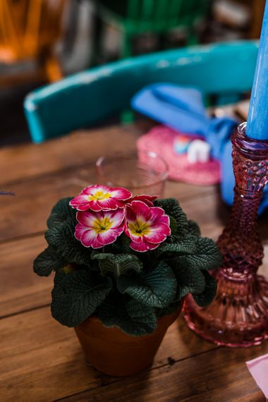 Plant pot table decor