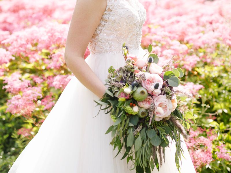 Latest Offers for Robert Adam Photography