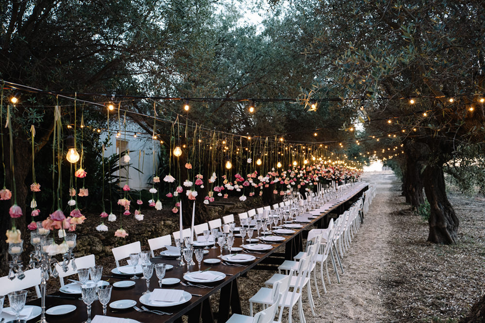 read [Magazine] Curtis\\'s