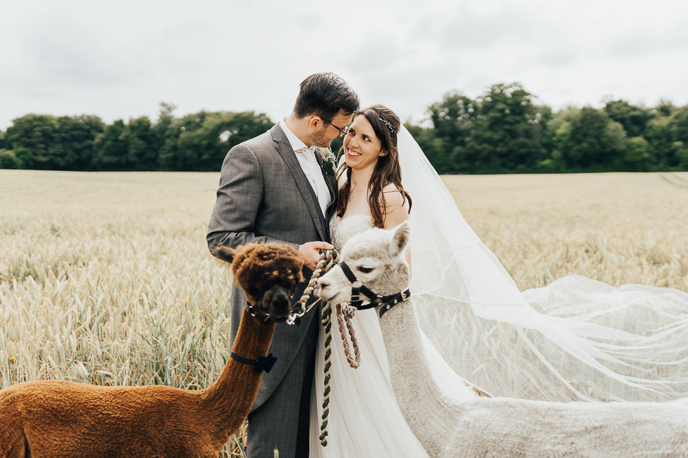 Alpaca Wedding Guests & Watters Bride Dress at Rustic Farm Wedding