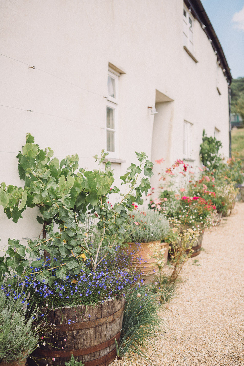 Pastel Peter Rabbit Spring Inspiration At River Cottage In Axminster